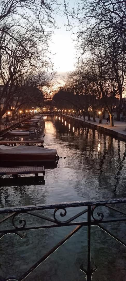 La Petite Venise Des Alpes, Ultra Centre 1 A 5 Pers Apartment Анси Екстериор снимка
